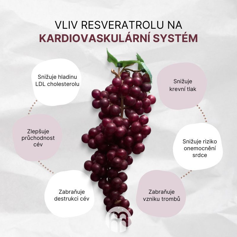 Návrh bez názvu (85)